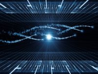 Genome organization in laminopathies