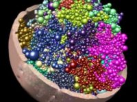 Processes underlying 3D genome conformation
